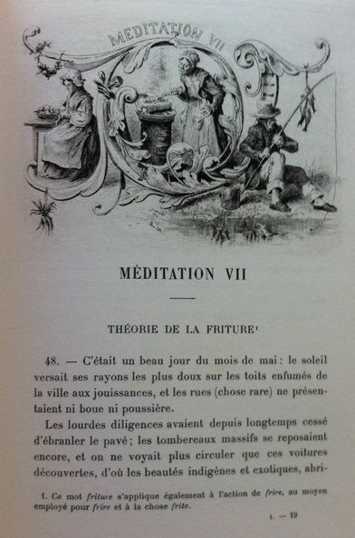 Méditation VII : Théorie de la friture, avec texte